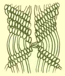 Drhání - vzor